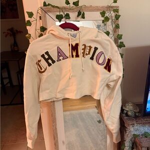 Champion Cropped Hoodie